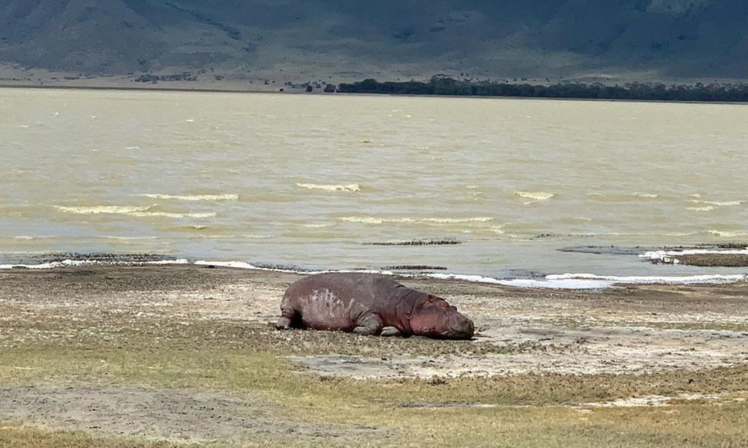 2 Days 1night Safari In Ngorongoro And Tarangire National Park