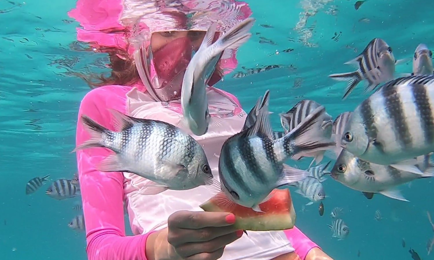 Snorkeling at Mnemba Atoll